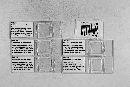 Monoicomyces homalotae image