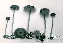 Entoloma aethiops image