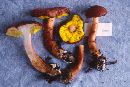 Boletus atkinsonii image