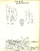 Russula vinacea image