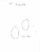 Image of Gymnopilus dryophilus