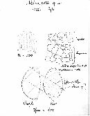 Hebeloma politum image