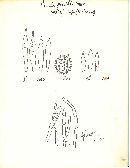 Russula pinophila image