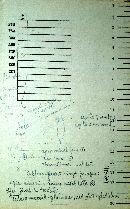 Gloeomucro chlorinus image