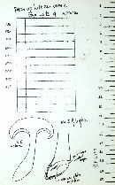 Boletochaete bicolor image