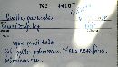 Tapinella panuoides image