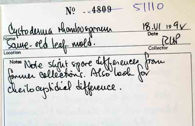 Cystoderma rhombosporum image