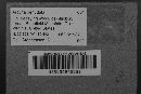 Arcyria denudata image