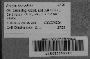 Arcyria denudata image
