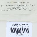 Phellinus igniarius image