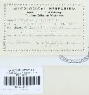 Erysiphe polygoni image