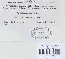 Drepanopeziza populorum image