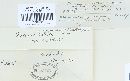 Puccinia recondita image