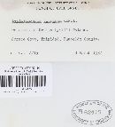 Leptosphaeria doliolum image