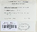 Trichaptum abietinum image