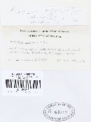 Puccinia coronata image