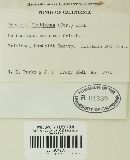 Puccinia gentianae image