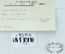 Puccinia coronata image
