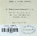 Melampsora caprearum image