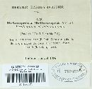 Melampsora helioscopiae image