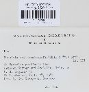 Puccinia sparganioides image