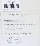 Phomopsis obscurans image