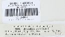 Exidia recisa image