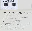 Piggotia fraxini image