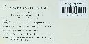 Coleosporium tussilaginis image