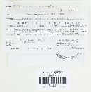 Colpoma crispum image