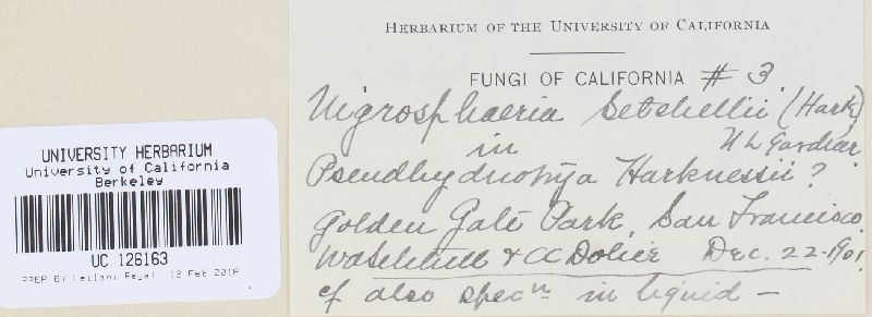 Ceratostomataceae image