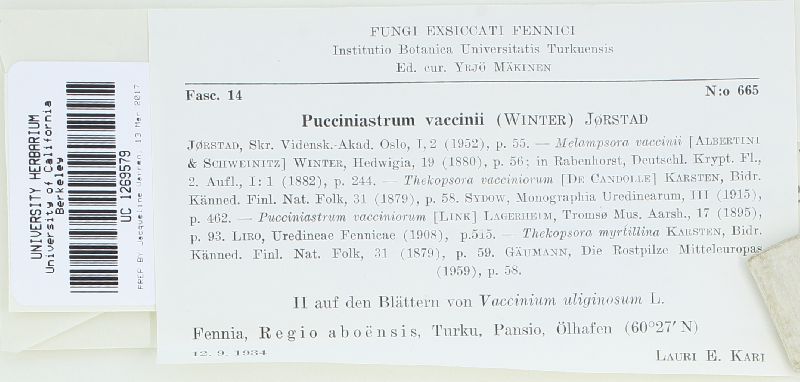 Naohidemyces vacciniorum image