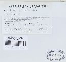 Uromyces junci-effusi image