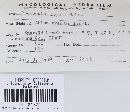 Phomopsis boycei image