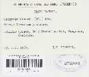Uromyces geranii image