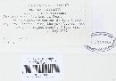 Puccinia recondita image