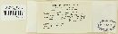 Puccinia crandallii image
