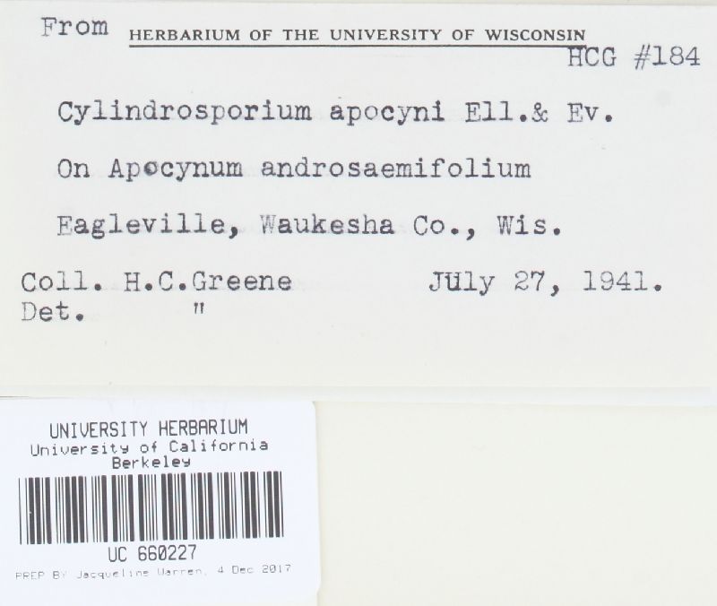 Cylindrosporium apocyni image