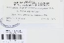 Venturia inaequalis image