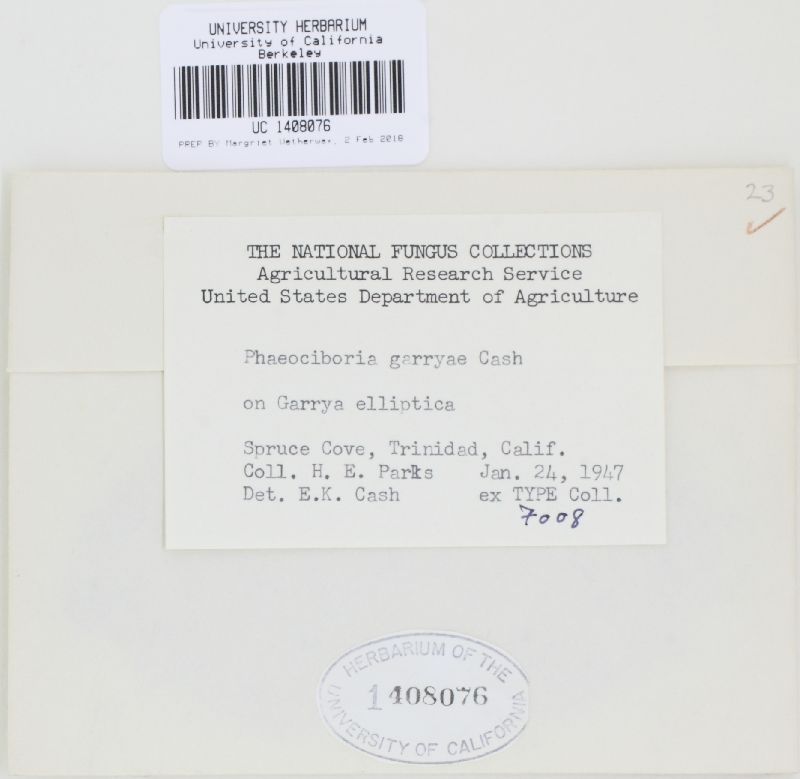 Lambertella garryae image