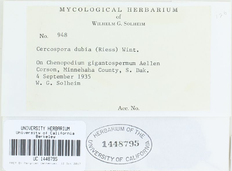 Passalora spegazzinii image