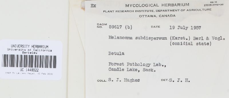 Melanomma subdispersum image