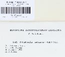 Pseudopeziza medicaginis image