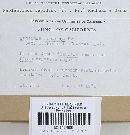 Neolentinus lepideus image