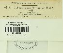 Coleosporium vernoniae image