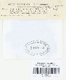Puccinia pimpinellae image
