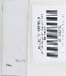Lyophyllum decastes image