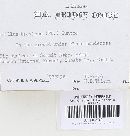 Suillus brevipes image