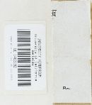 Scleroderma polyrhizum image
