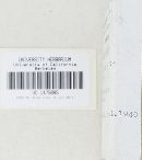 Leratiomyces squamosus image